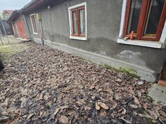 Berceni, Turnu Magurele