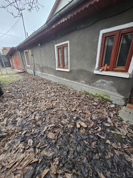 Berceni, Turnu Magurele