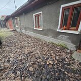 Berceni, Turnu Magurele